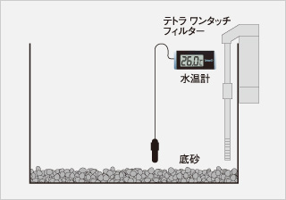 ろ過器、ヒーターなどをセットする