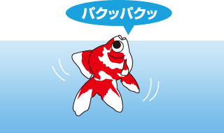 鼻上げ