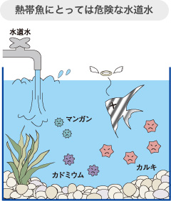 理想的な水環境を維持するには