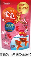 テトラ金魚美人 色彩美 特小粒