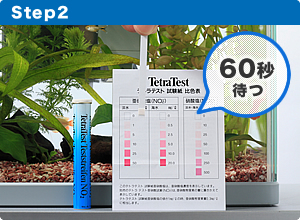 水質を知ろう お役立ち情報 アクアリウム スペクトラム ブランズ ジャパン 株式会社 旧テトラ ジャパン株式会社