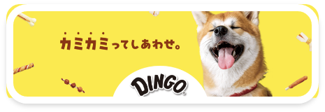 Dingo カミカミってしあわせ。