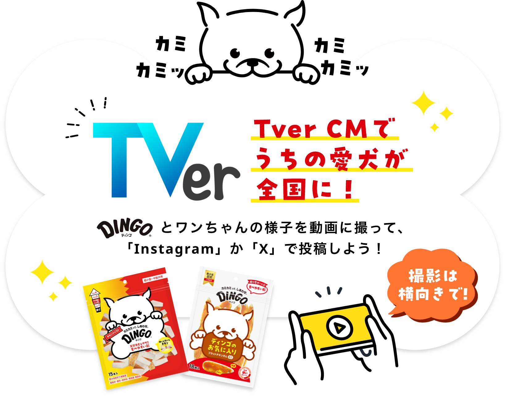 TVerCMでうちの愛犬が全国に！Dingoとワンちゃんの様子を動画に撮って、「Instagram」か「X」で投稿しよう！