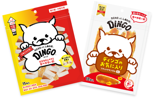 Dingo