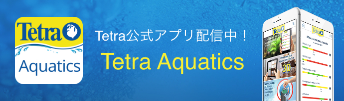 Tetra公式アプリ配信中! Tetra Aquatics