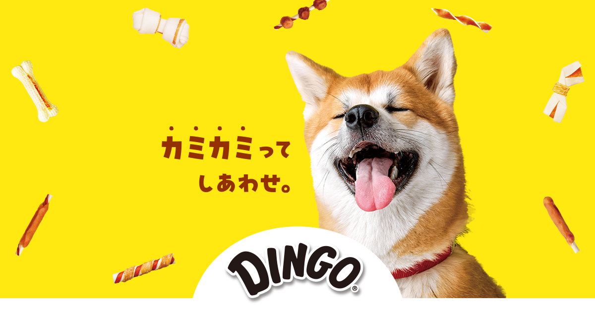 DINGO ディンゴ チュー・デント スマートボーン 歯磨きガムまとめ売り