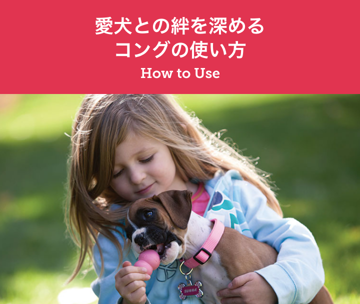 愛犬との絆を深めるコングの使い方