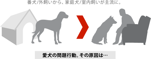 番犬/外飼いから、家庭犬/室内飼いが主流に。愛犬の問題行動。その原因は…