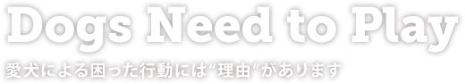 Dogs Need to Play　愛犬による困った行動には“理由”があります