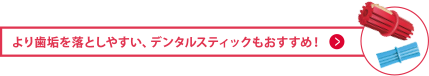 より歯垢を落としやすい、デンタルスティックもおすすめ！