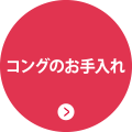 コングのお手入れ