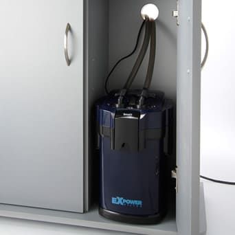 テトラの60cm水槽に外部式フィルターを使用した飼育例 お役立ち情報 アクアリウム スペクトラム ブランズ ジャパン 株式会社 旧テトラ ジャパン株式会社