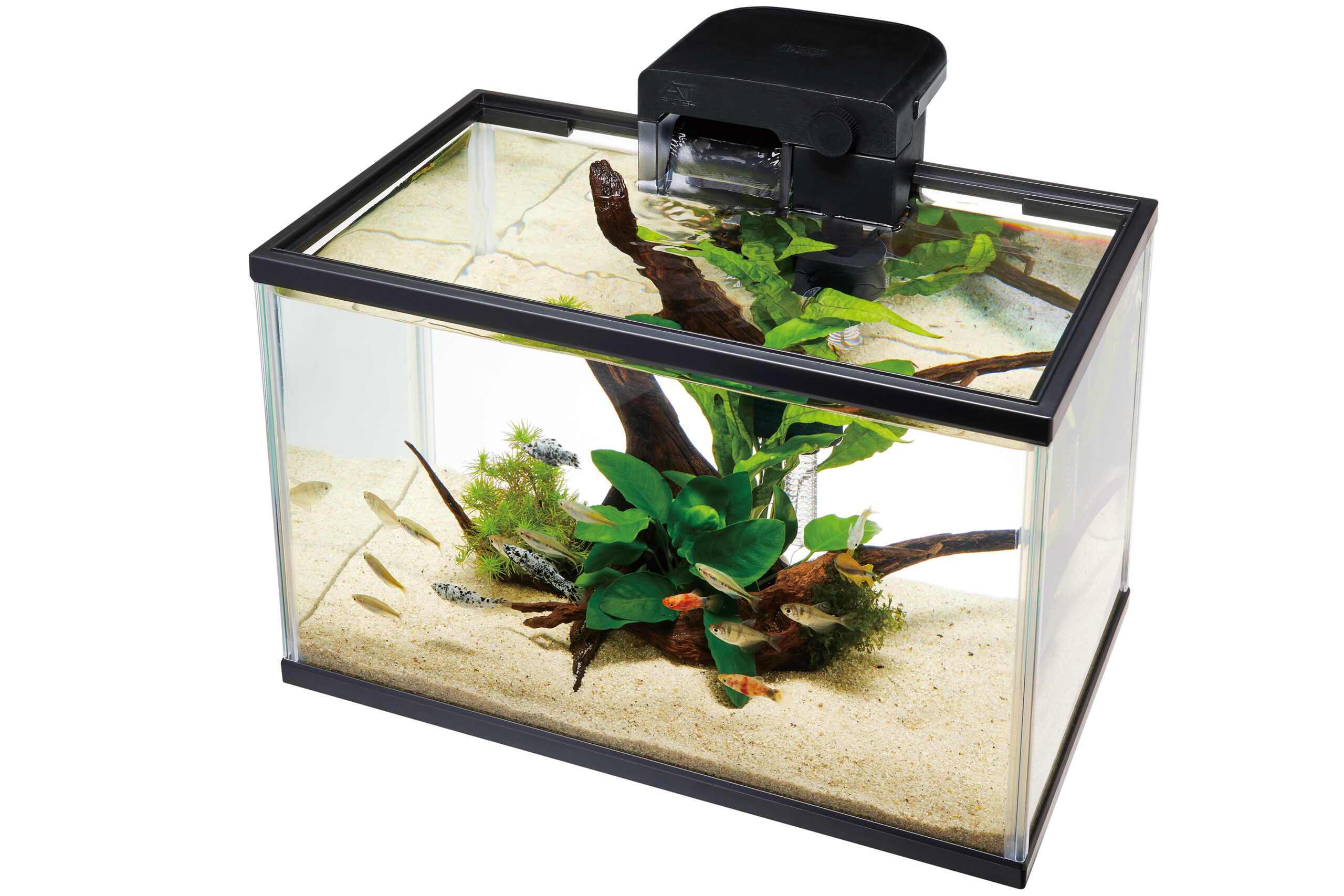 テトラ フリーウォッシュ タンクセット 40｜観賞魚・水生生物関連商品 