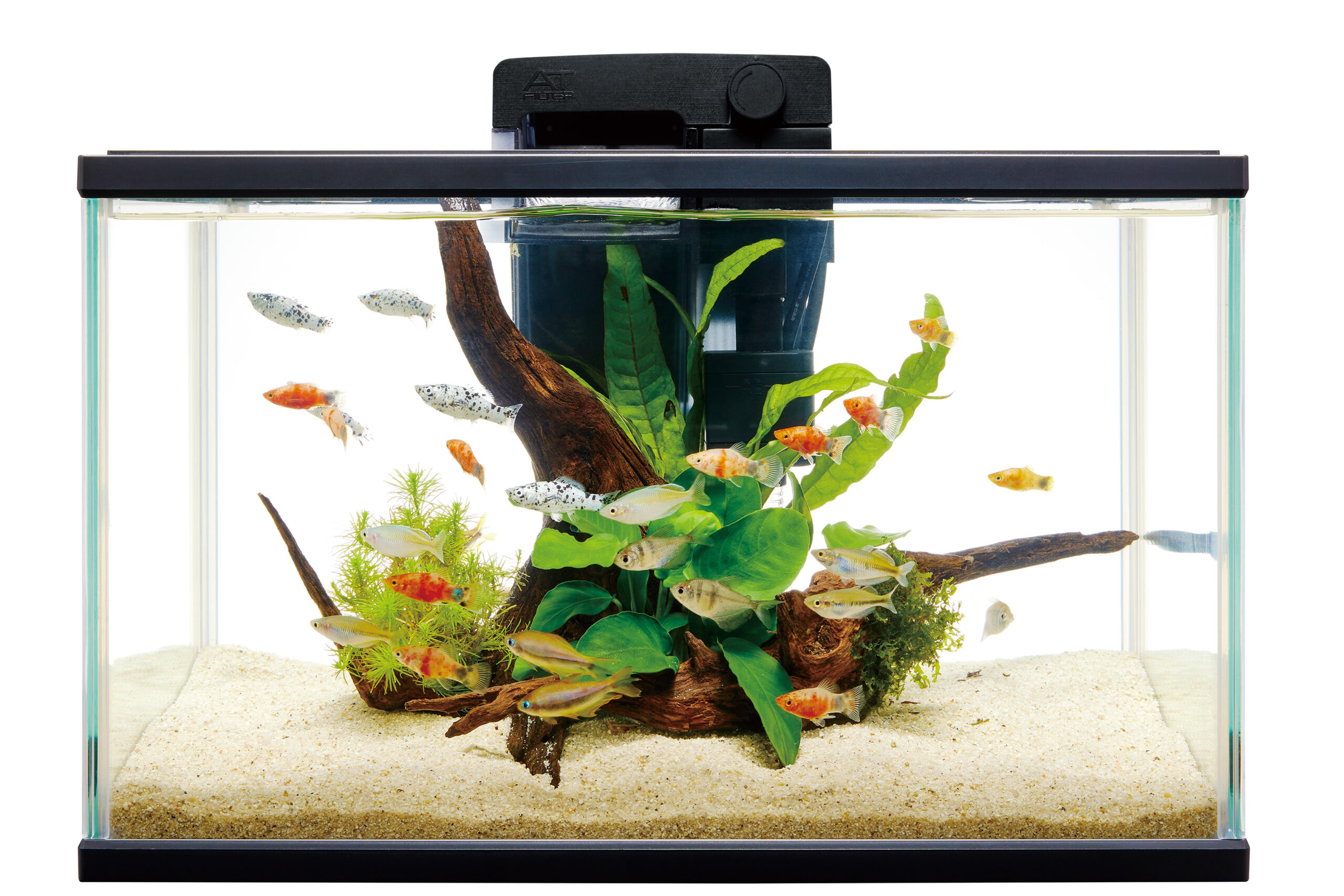 テトラ フリーウォッシュ タンクセット 40｜観賞魚・水生生物関連商品 