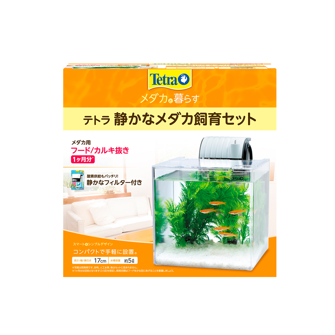 低価格で大人気の １０匹 ８０サイズ関東送料８７３円 即決 生体 熱帯魚 海水魚 インドネシア Smサイズ ３cm前後 ネオンダムセル 海水魚 Labelians Fr