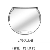 ガラス水槽