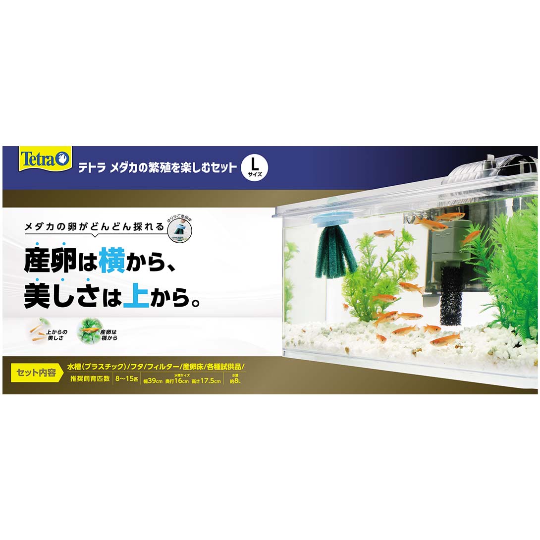 今日から飼える！メダカの室内飼育に必要なグッズリスト10選｜お役立ち