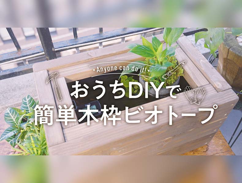 おうちdiyでビオトープの木枠を作って 自分だけの極上空間を作ろう お役立ち情報 アクアリウム スペクトラム ブランズ ジャパン 株式会社 旧テトラ ジャパン株式会社