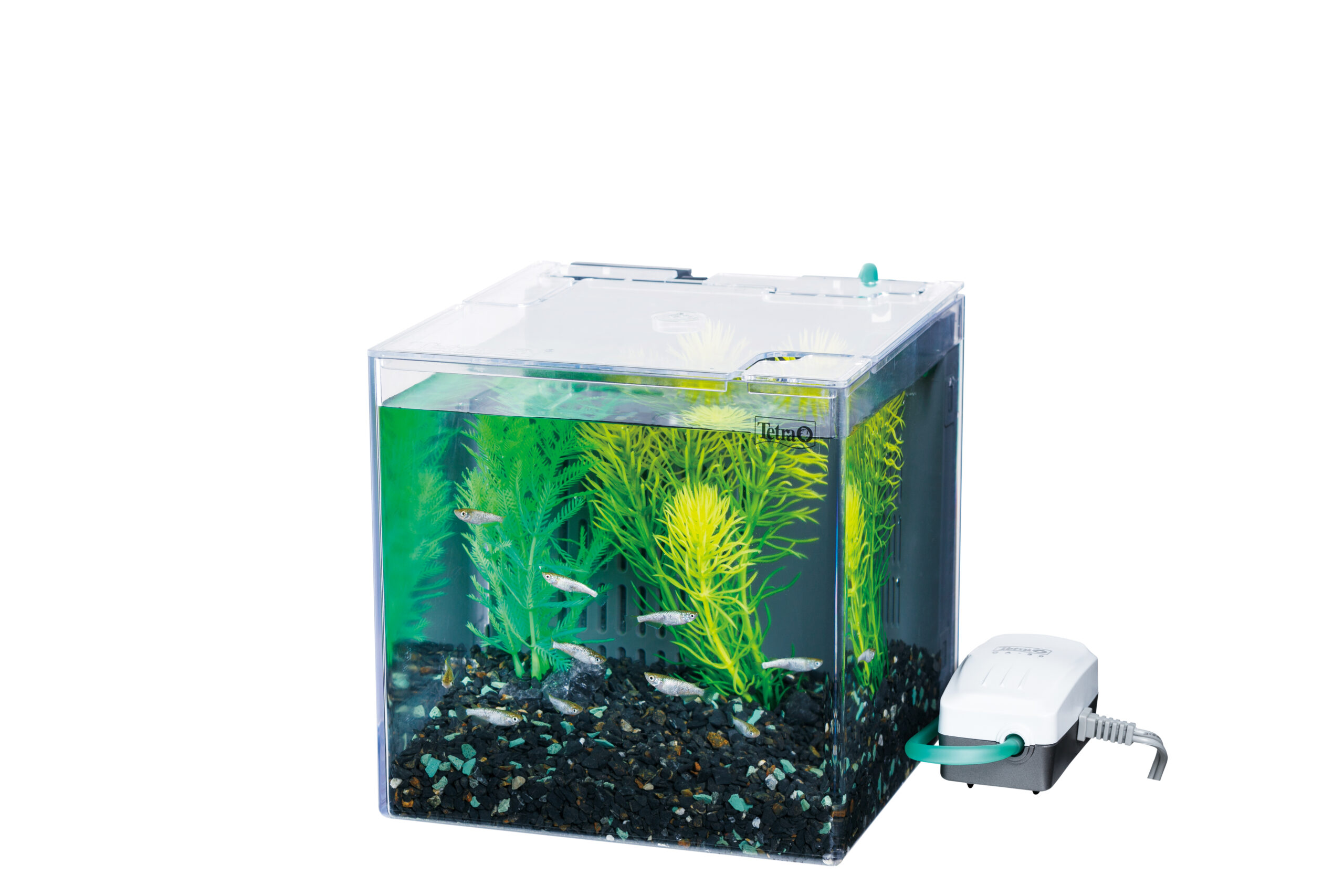 (まとめ）テトラ アクアセイフ 1000ml（ペット用品）〔×6セット〕 まとめ）テトラ アクアセイフ 250ml（ペット用品）〔×6セット〕 まとめ