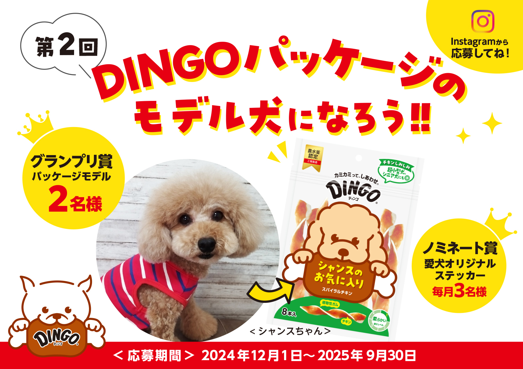 DINGOのパッケージモデル犬 大募集！｜お役立ち情報 犬猫小動物 