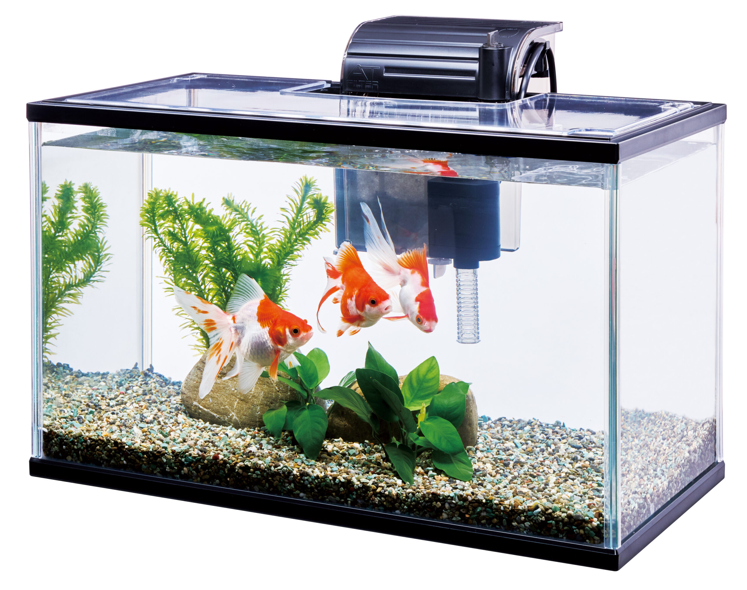 水槽セット アクアシステム ASPセット 熱帯魚用 クリスティ3040 LED 50Hz 水槽セット アクアシステム ASPセット 熱帯魚用 クリスティ3040 LED 50Hz