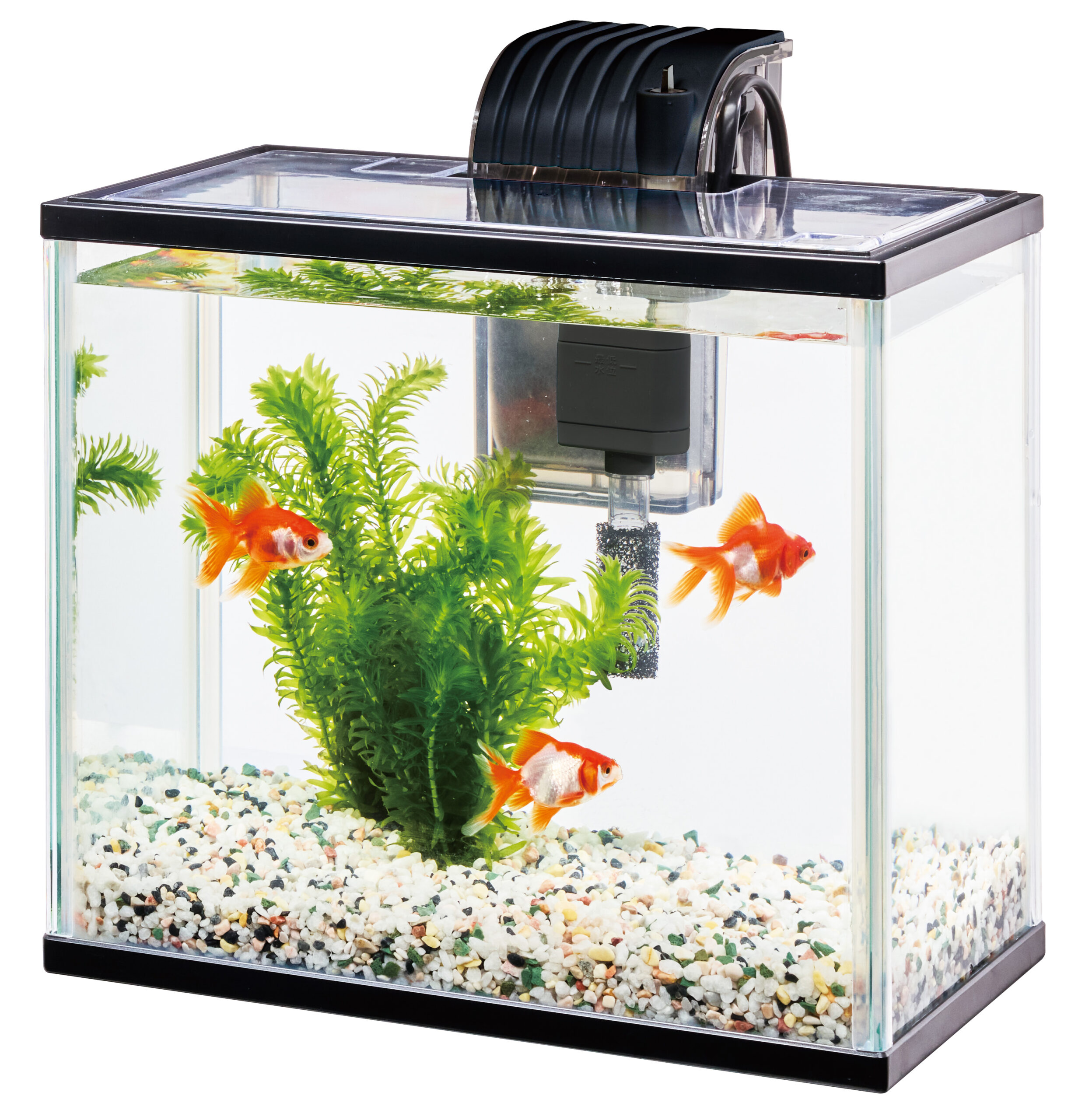 テトラ 金魚・メダカのらくらくアクア S｜観賞魚・水生生物関連商品 
